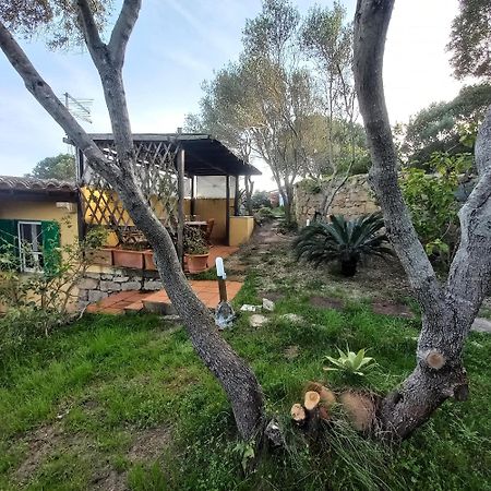 Villa Graziella La Maddalena (Sassari) Exterior foto