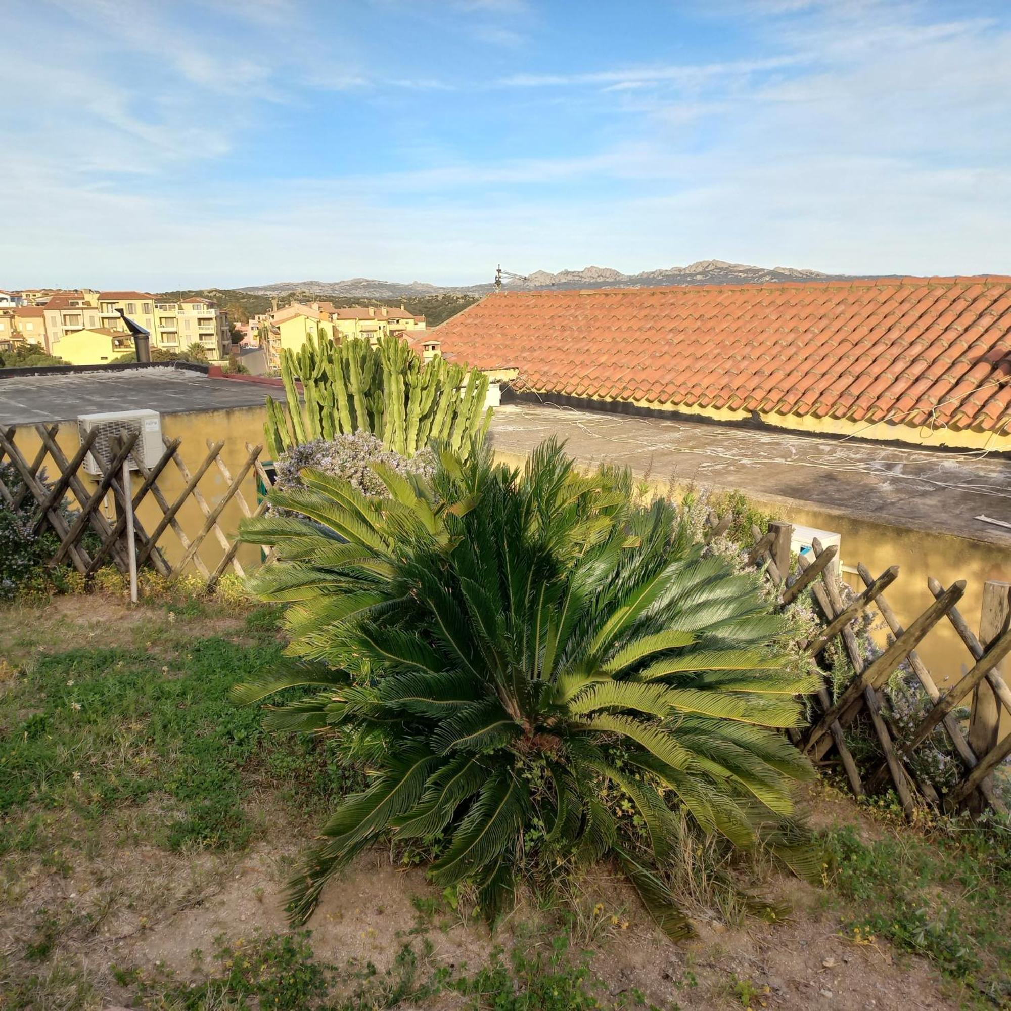 Villa Graziella La Maddalena (Sassari) Exterior foto