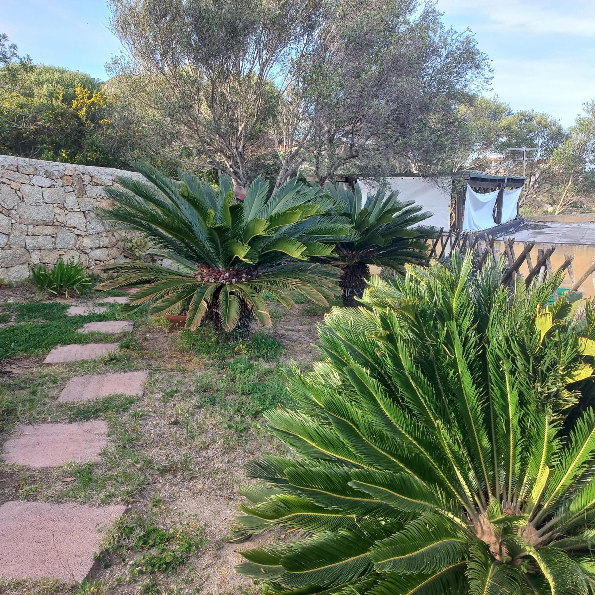 Villa Graziella La Maddalena (Sassari) Exterior foto