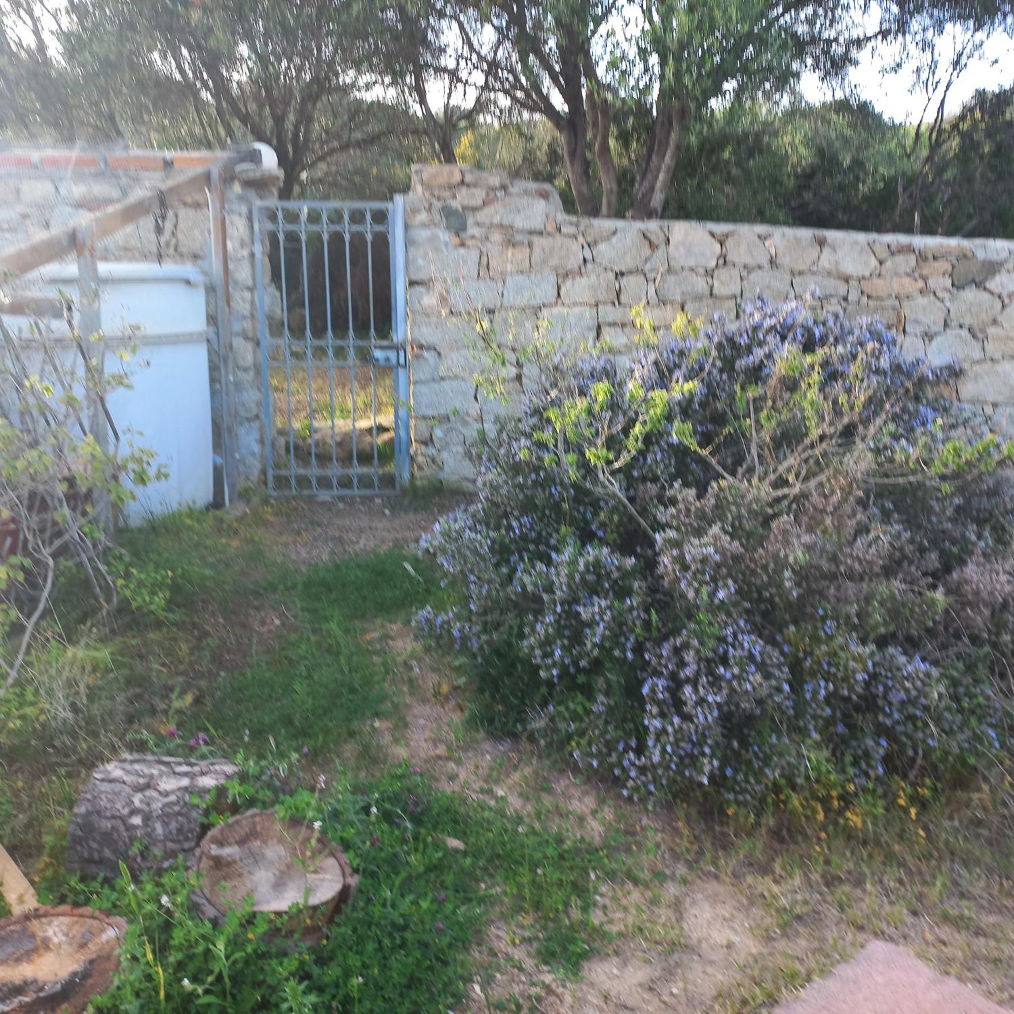 Villa Graziella La Maddalena (Sassari) Exterior foto