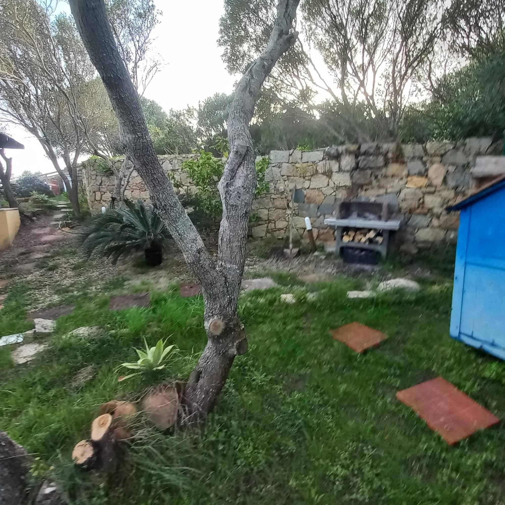 Villa Graziella La Maddalena (Sassari) Exterior foto